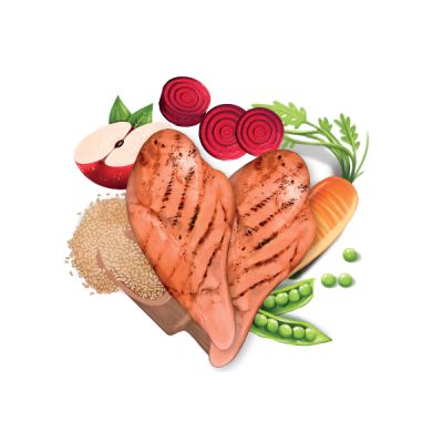 FRESH MEDITERRANEAN BLEND ADULT LARGE 14 KG.