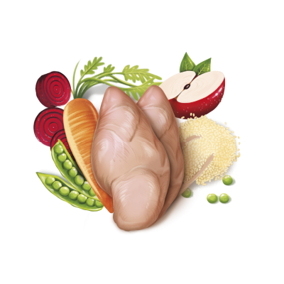 FRESH MEDITERRANEAN BLEND ADULT COMPLETE 3 KG.