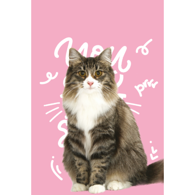 FRESH MEDITERRANEAN BLEND CAT STERILISED 2 KG.